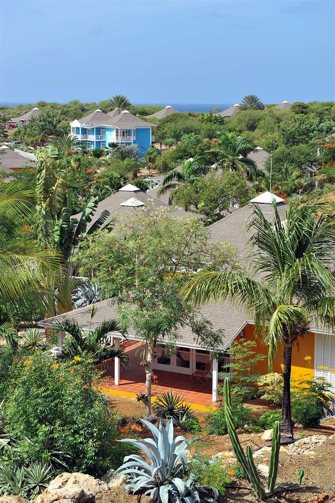 Chogogo Resort Curacao ภายนอก รูปภาพ
